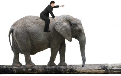 Influence Patient Decisions by Talking to the Elephant